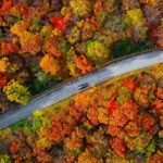 Golden Years, Golden Leaves: Top Late-Season Autumn Trips